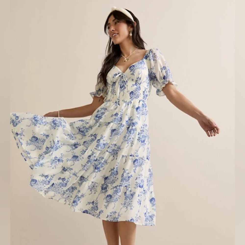 Francesca's Blue and White Floral Midi Dress